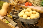 Jugend organisiert Brunch zum Erntedank