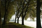 Andacht zur Stillen Zeit in Wetter-Wengern