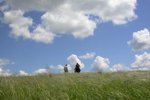 Überraschung in Wetter-Wengern! Neue Aufgaben für Vorsteher Hermann Krempel
