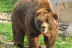 Ein Tag im Zoo