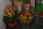 Apostel Hoyer in Schwelm