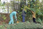 Kirchengarten fit f�r den Winter